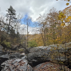 Landscapes